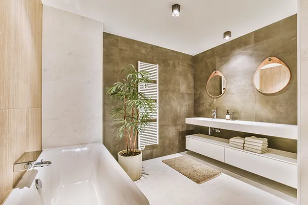 a luxurious bathroom
